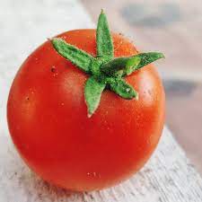 Tomate Tomito F1 0,06 G