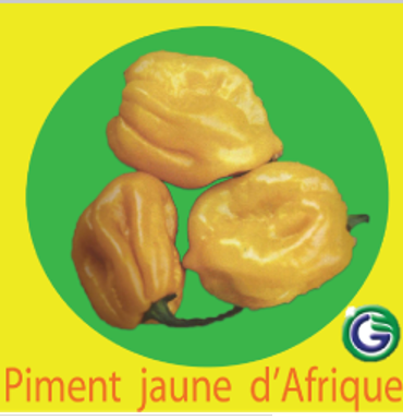 Piment Jaune D'afrique 5G